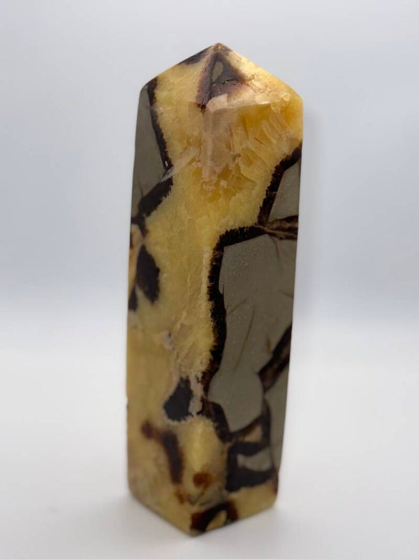 Septaria toren 729gr 16cm hoog 4cm breed