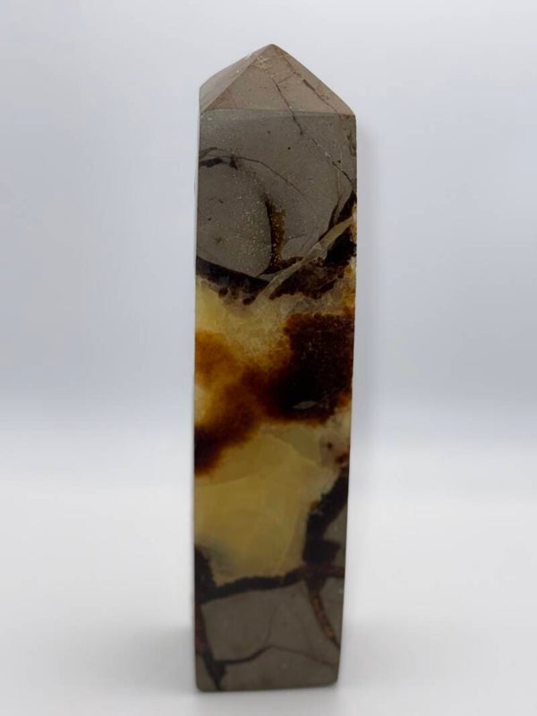 Septaria toren 672gr 17cm hoog 4cm breed