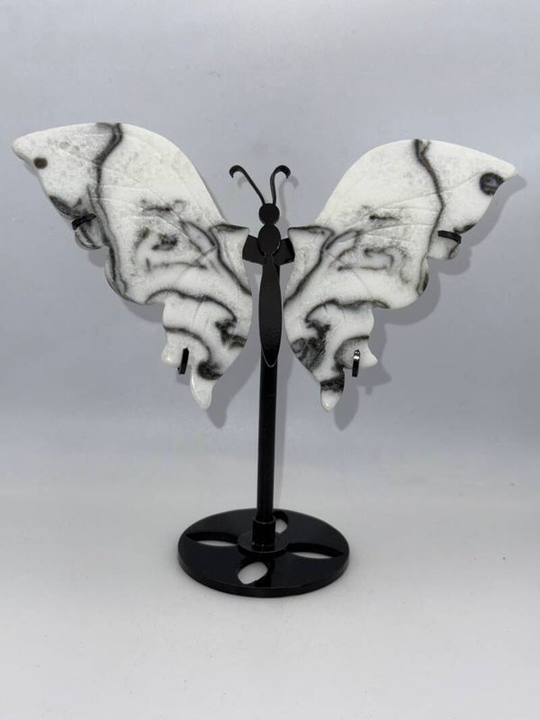 Zebra marmer vlinder 14,5 cm hoog 14,5 cm breed