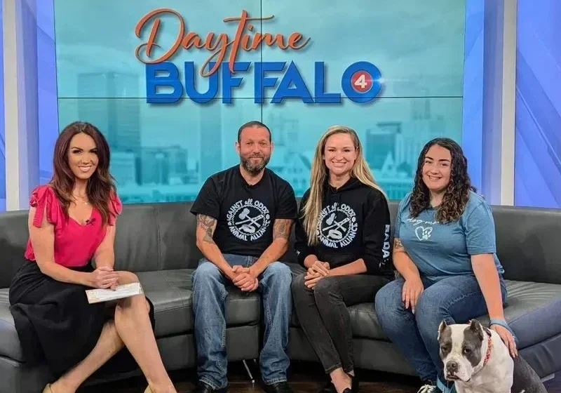 AAO team members on Daytime Buffalo with one of the dogs in their care.