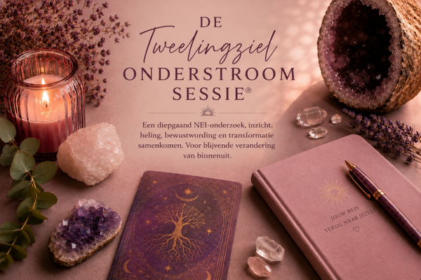 De Tweelingziel Onderstroom Sessie®