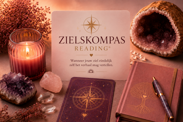 Zielskompas Reading® 144