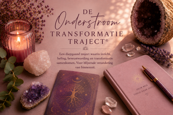 Onderstroom Transformatie Traject® 697