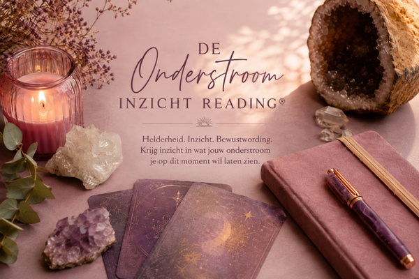 Onderstroom Inzicht Reading® 44