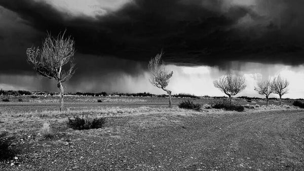 Der Regen kommt / Llega la lluvia