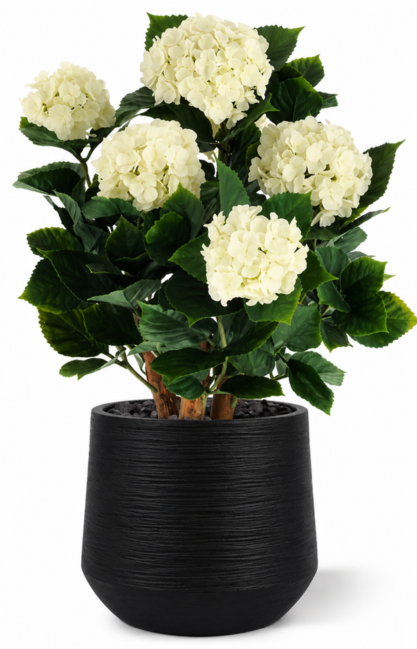 Witte Hortensia uv bestendig | 65 cm | creme wit mooi gevuld | Per 2 stuks verpakt