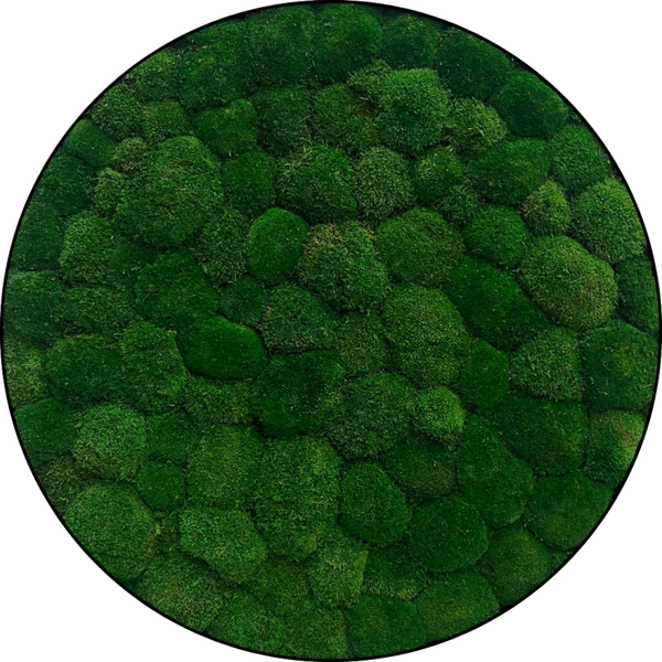 Moscirkel: 40 cm € 250 Design prachtig bolmos