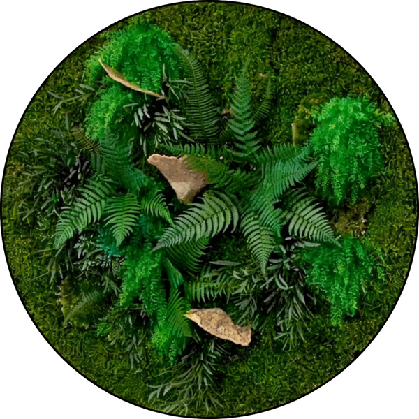Moscirkel de luxe Angel Wings design | Moss art line van Metiez