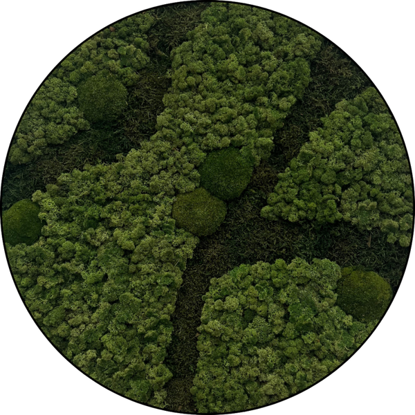 Skyfall Rundes moosbild aus James Bond