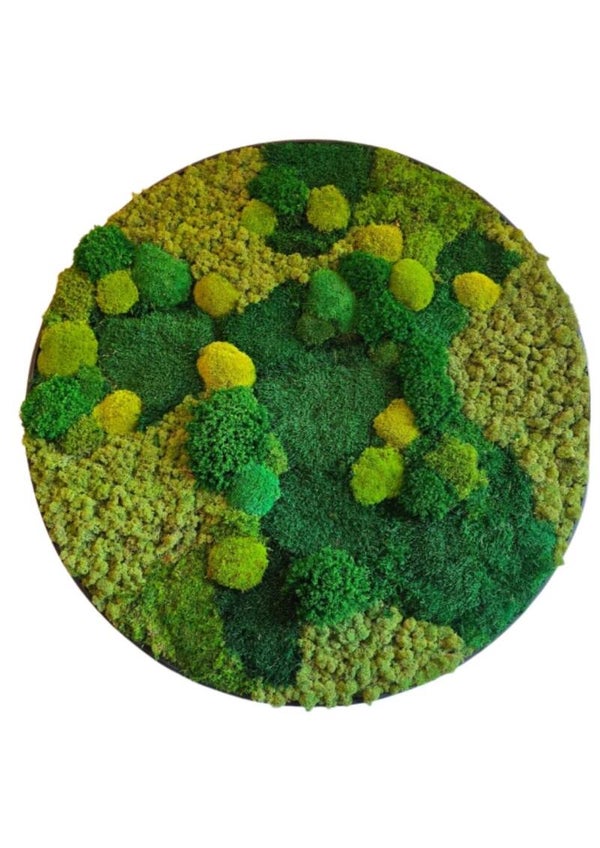 Moscirkel 40 cm €115 Design Peter