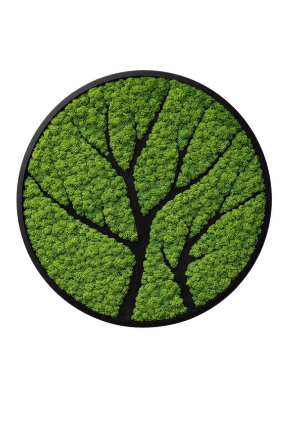 Moscirkel 40cm €199 Three design