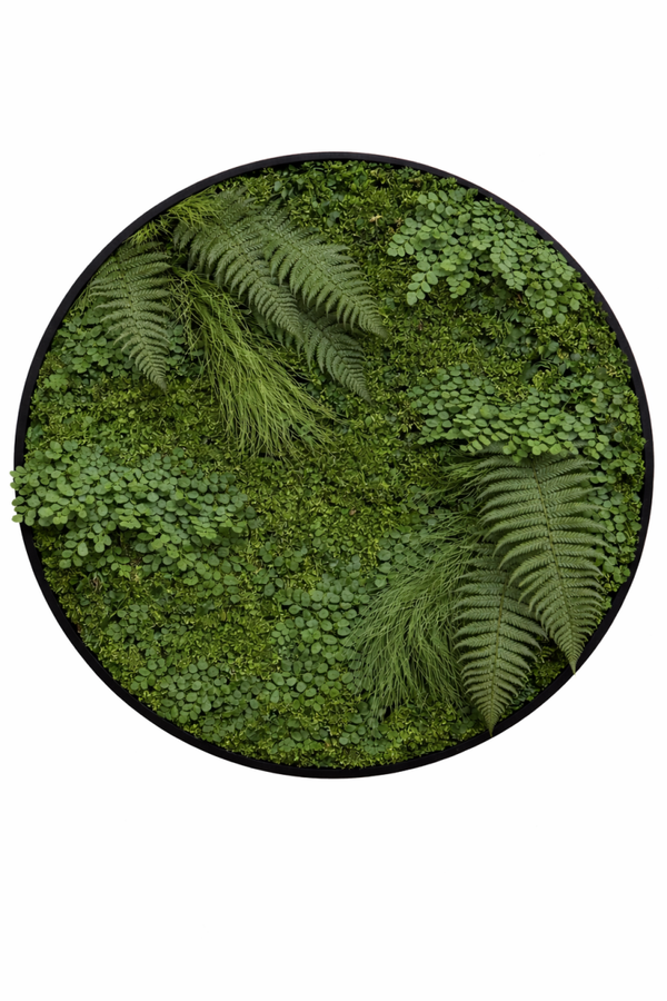 Moscirkel 40 cm € 115 Design Lisa