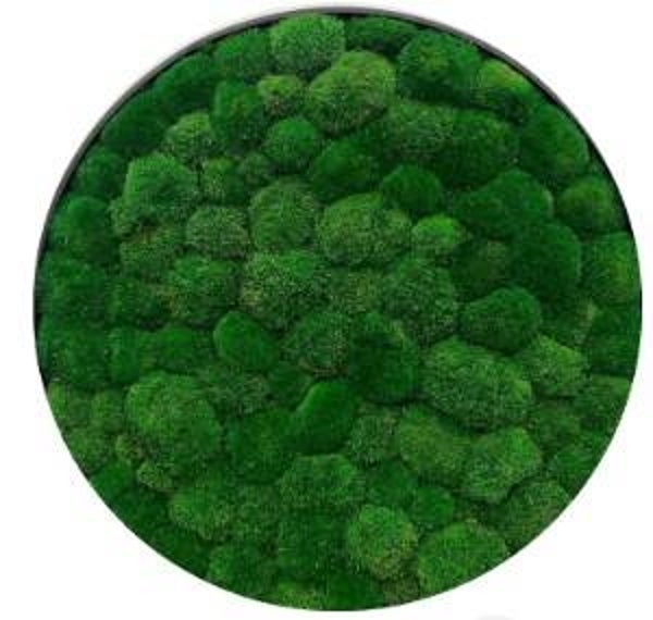 Moscirkel: 40 cm € 215 Design prachtig bolmos