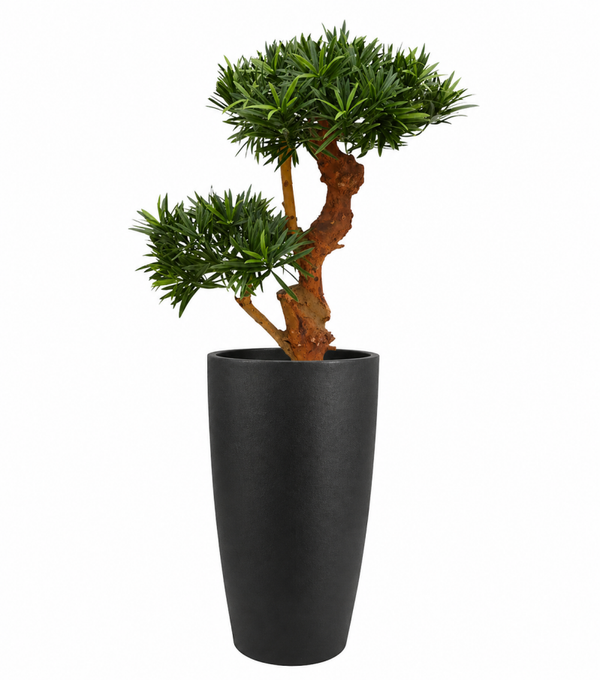 Bonsai deluxe | kunstplant | UV bestendig | 65 cm | per stuk verpakt | Metiez