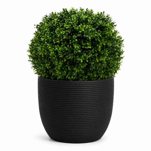 Buxus bol kunst deluxe | 50cm | per 2 verpakt