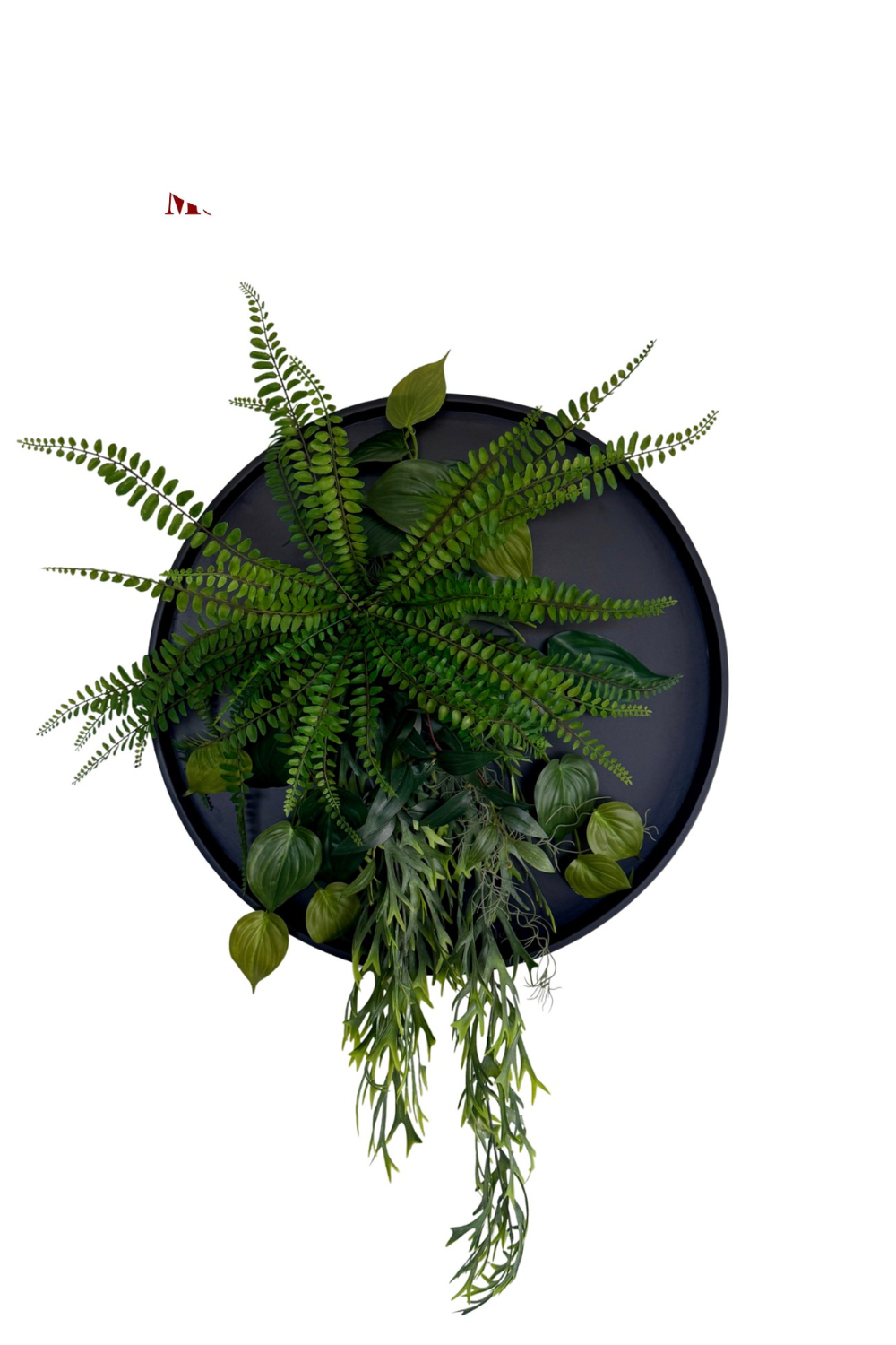 Wandcirkel van de maand Juni | Plantencirkel van Metiez Nu €95