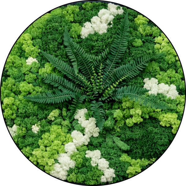 Moscirkel vanaf 40cm €115 Design Dream