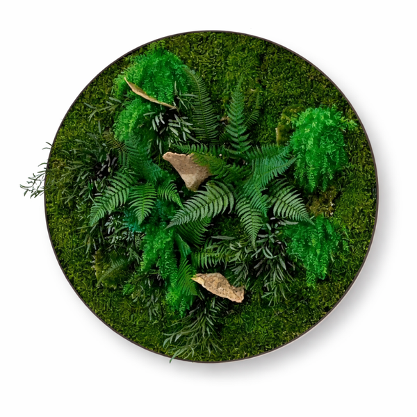 Moscirkel 40 cm € 350 design jungle deluxe