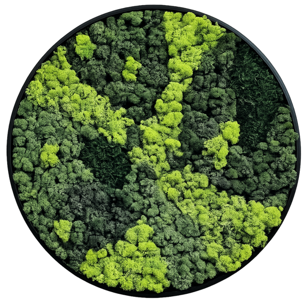 Moscirkel 40cm €95 Mossenmix Wamel design