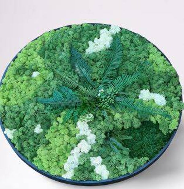 Moscirkel 40cm €199 Design Dream