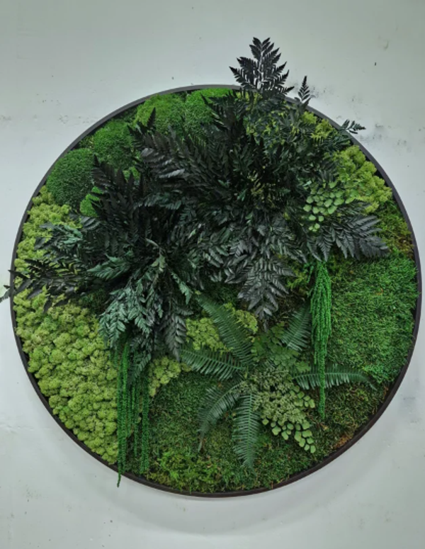 Moscirkel 40 cm €350 Pakhuis design donkere varens