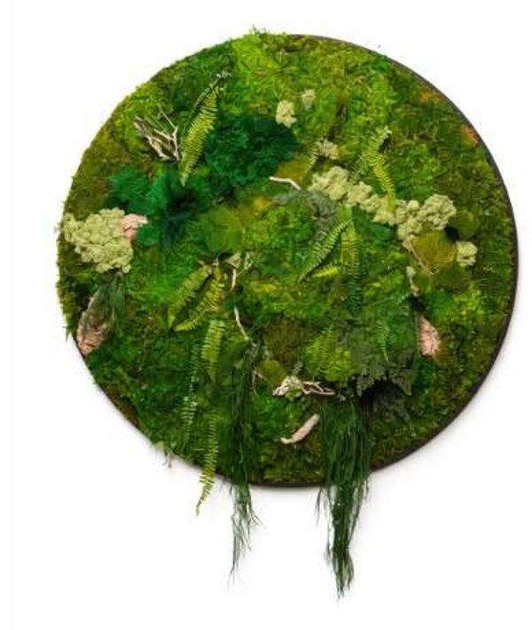 Moscirkel 40 cm €350. Prachtig ruig landschap in een moscirkel.