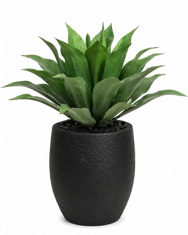 Agave kunstplant | uv bestendig | 70 cm | schitterend kwaliteit | Per 2 verpakt