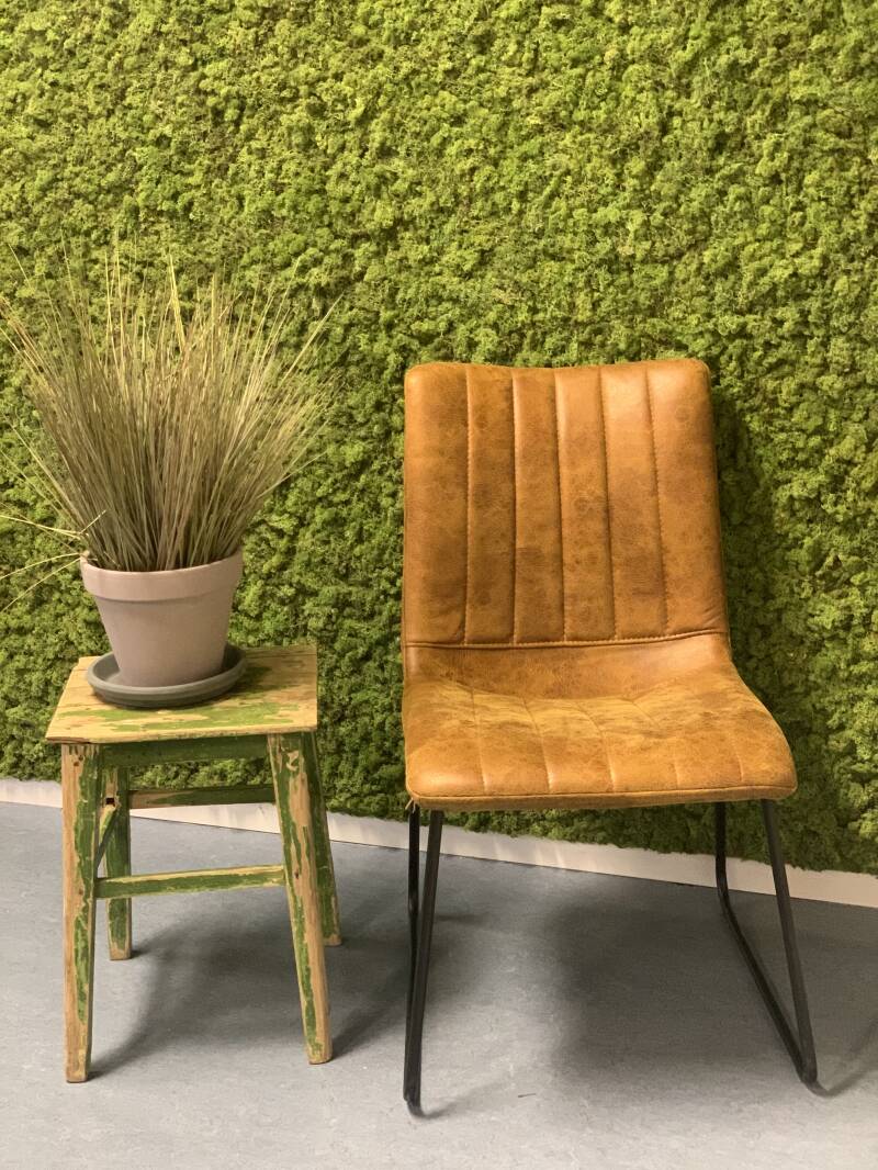 Bij de vergaderruimtes van De Bogert in Druten hebben ze gekozen voor groene en sfeervolle vergaderruimtes. Hier is gekozen voor rendiermos puur. Dit is een andere bevestigingsmethode dan de traditonele maar geeft nog meer leven en relief aan het mos.  Sa