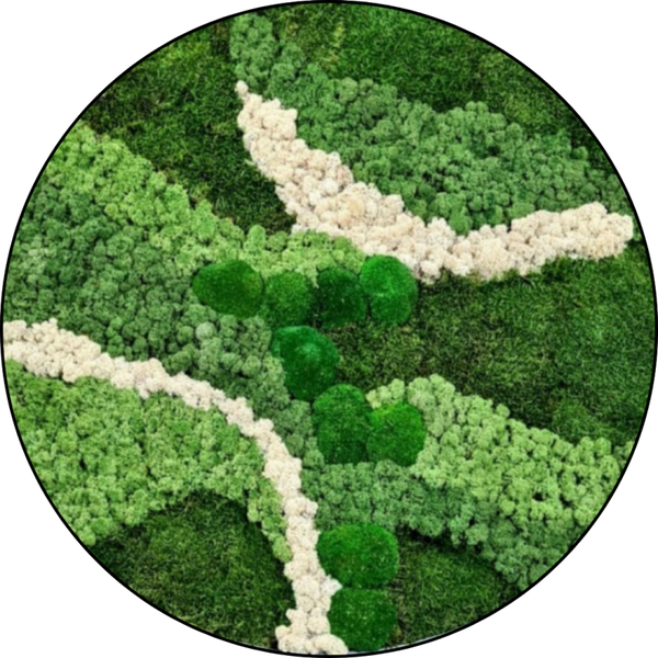 Rundes moosbild Tudor Design