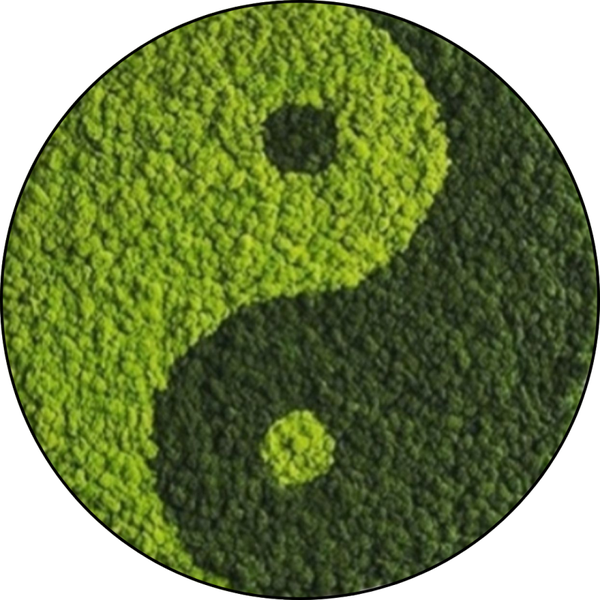 Yin Yang Rundes Moosbild für die wand