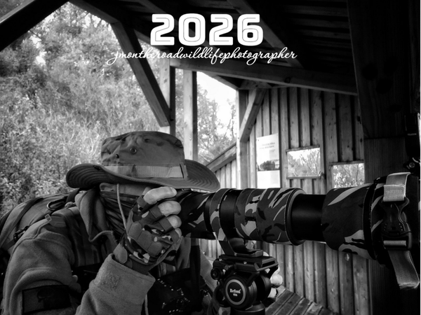 Calendrier 2026 PHOTOS SAFARI NOIR & BLANC NUMERO 8 Prix: 29 euros