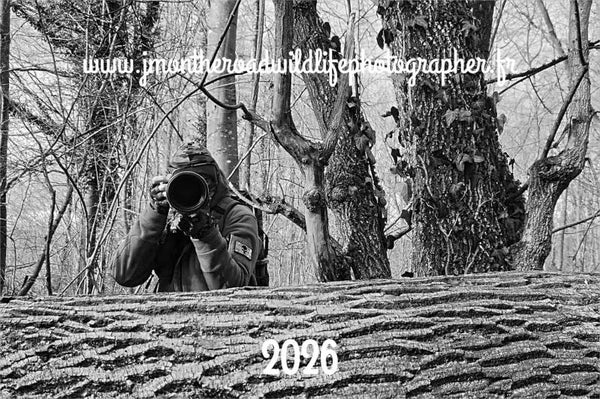 Calendrier 2026 photos animalières Numéro 7 Prix 29 euros