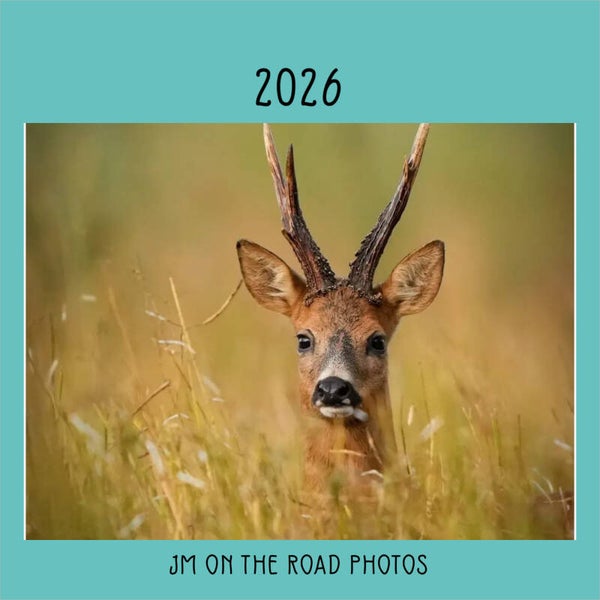 Calendrier 2026 photos animalières  Numéro 4 Prix : 25 euros