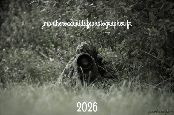 Calendrier 2026 PHOTOS SAFARI COULEURS PRIX 29 EUROS