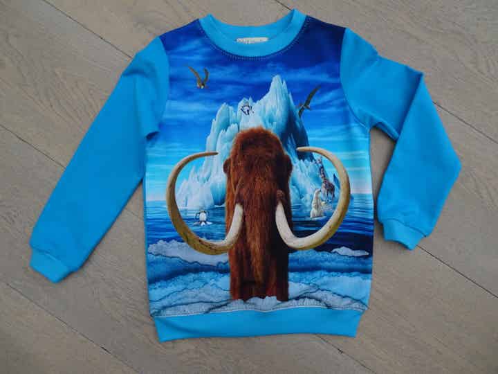 sweater Mamoet blauw