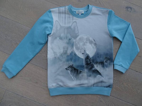 sweater wolves into the night