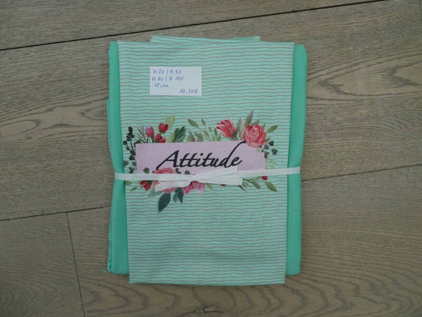 DIY Stoffenpakket Attitude 2