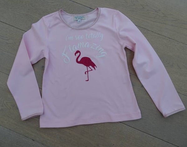 longsleeve roze bedrukking "flamazing"1