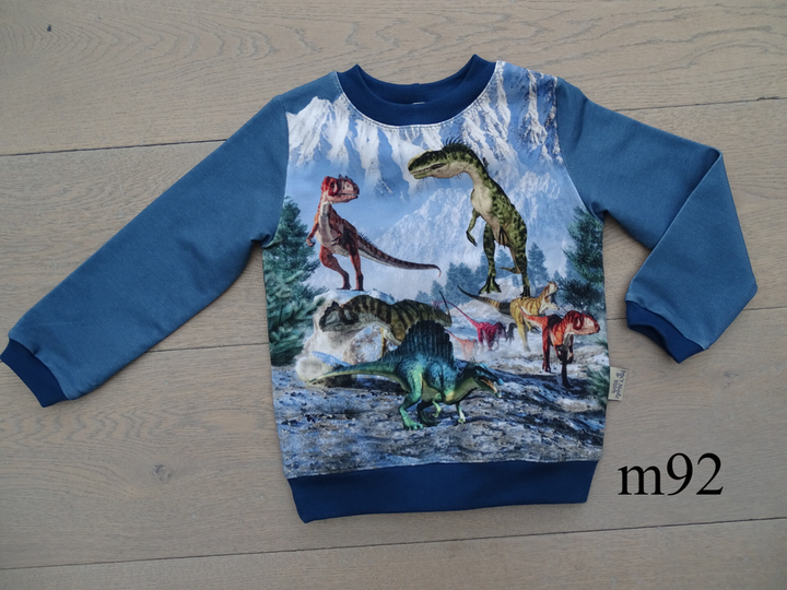 sweater dino bergen LAATSTE STUKS