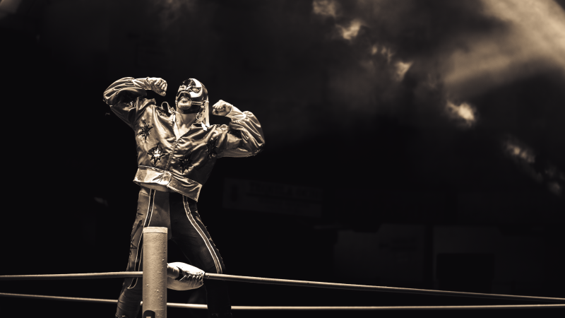 dsc02313-standard.png