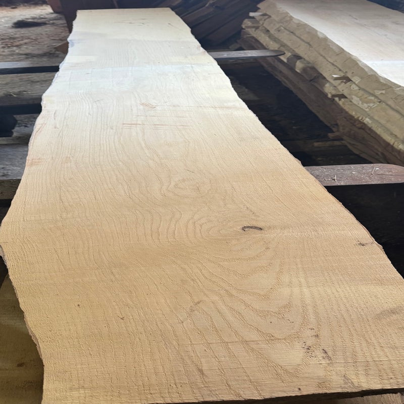 Esche Massivholz