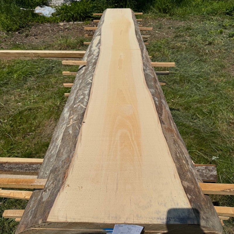 Buche Massivholz