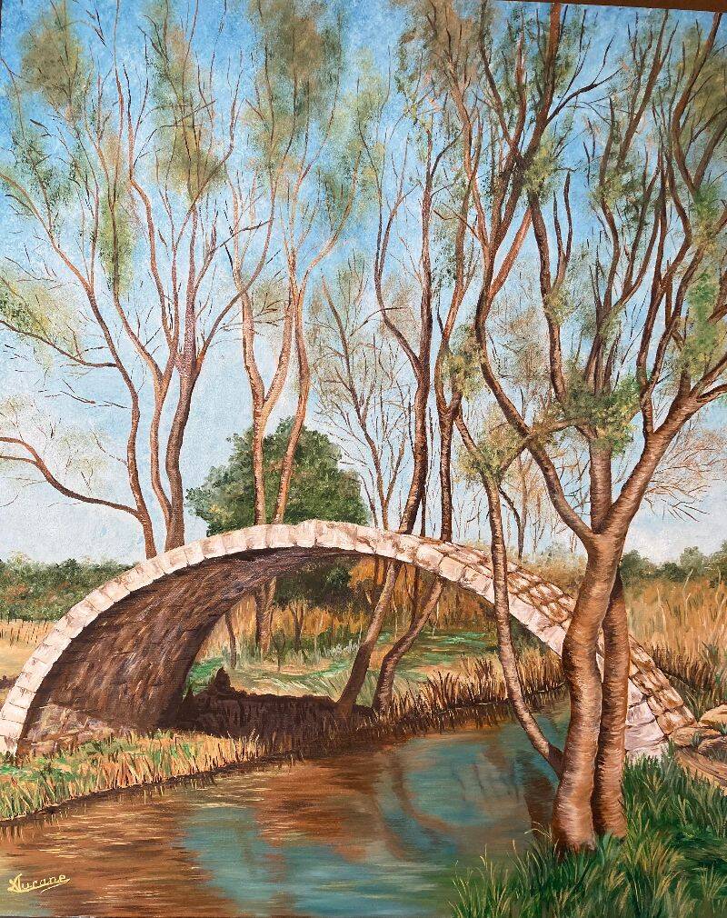 44-61cmx50cm-standard.jpg