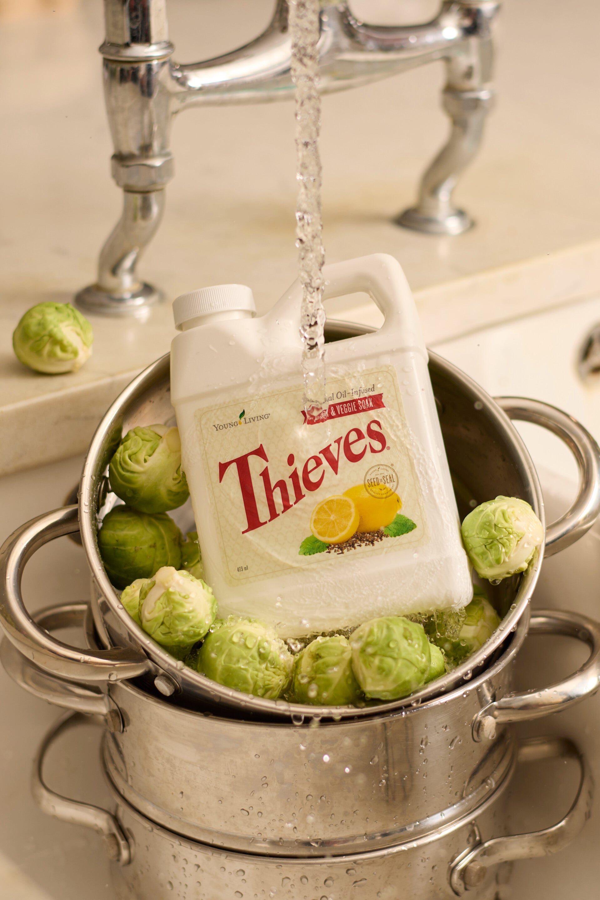 Thieves Fruit & Veggie soak