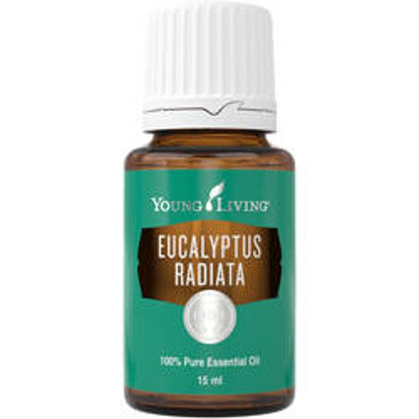 Eucalyptus Radatia 5ml
