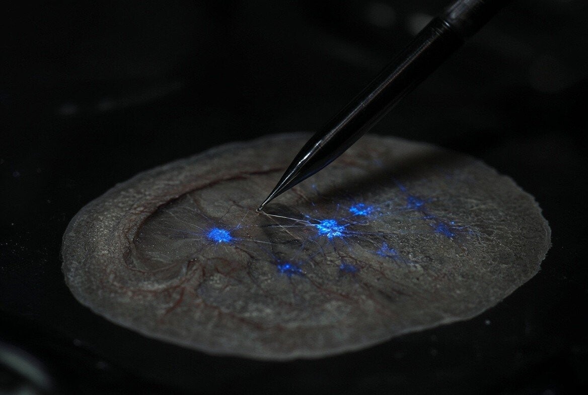 A fine electrode probe touching a single neuron, its synapses glowing blue where the signal fires