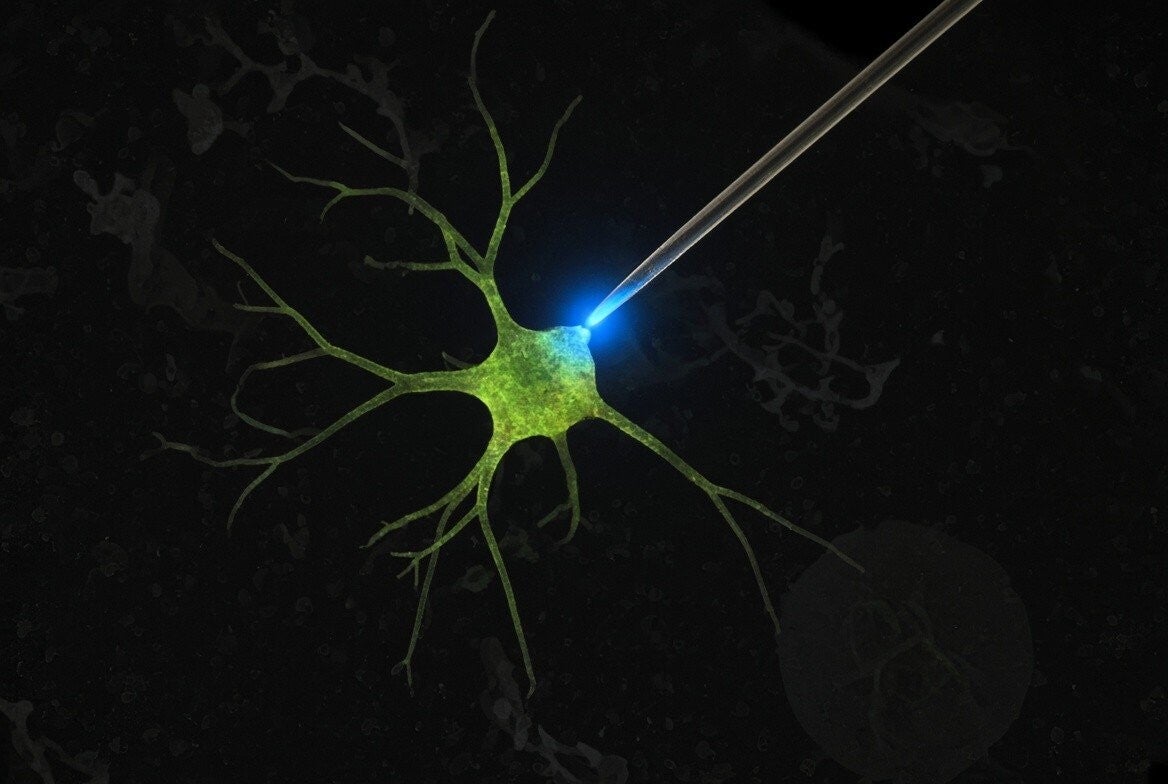 A living green neuron with branching dendrites, a probe touching its cell body where blue light glows