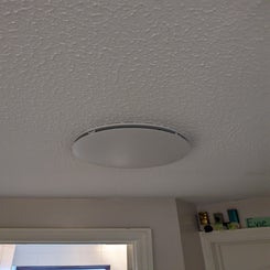 pxl_20240325_113831078-standard.jpg