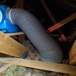 pxl_20240325_113840227-standard.jpg