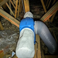 pxl_20240325_113901294-standard.jpg